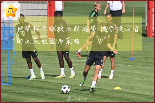 世界杯买球投注新趋势 揭示投注者的决策经验与策略