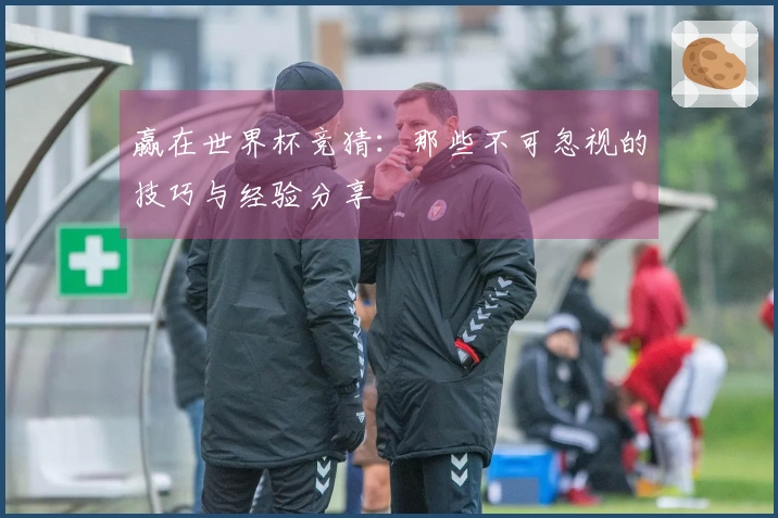 赢在世界杯竞猜：那些不可忽视的技巧与经验分享
