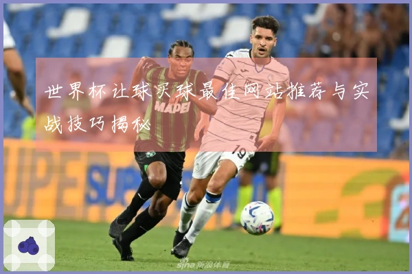 世界杯让球买球最佳网站推荐与实战技巧揭秘